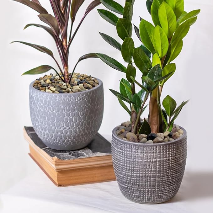 2lbs Natural River Rocks for Plants, 3/8" Aquarium Gravel Decorative Polished Mixed Pebbles for Fish Tank, Gardening, Flower Pots, Vase Fillers, Indoor Water Fountains, Landscaping-PurrikoPets