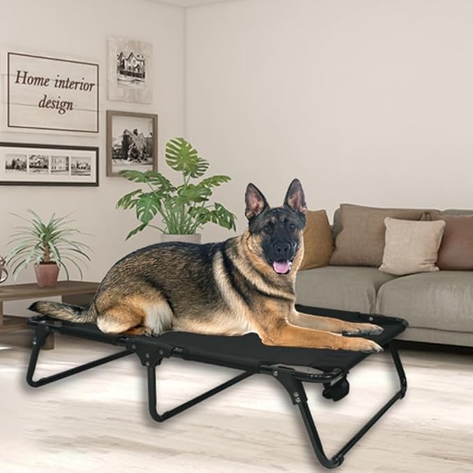 Elevated Raised Small Meduim Dog Bed Cots,Cooling Foldable No Assembly Need Pet Hammock Bed with Breathable Mesh, Indoor Outdoor Dog Pet Bed for Small Meduim Dogs, Chew Proof, Black-PurrikoPets