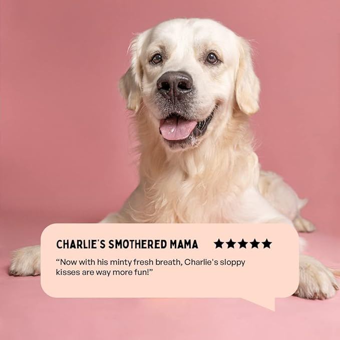 Fresh Breath Oral Strips for Dogs & Cats | Natural Spearmint & Thymol for Easy and Convenient, All-Natural Oral Care (30 Oral Dissolving Strips)-PurrikoPets