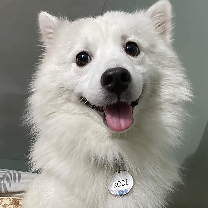 316 Surgical Grade Stainless Steel Personalized Dog & Cat ID Tags - Made with Three Thousand Love for Our Fur-Baby - Original Funny Shapes Heart, Engraved Name or Text for Pet Collar Accessories-PurrikoPets