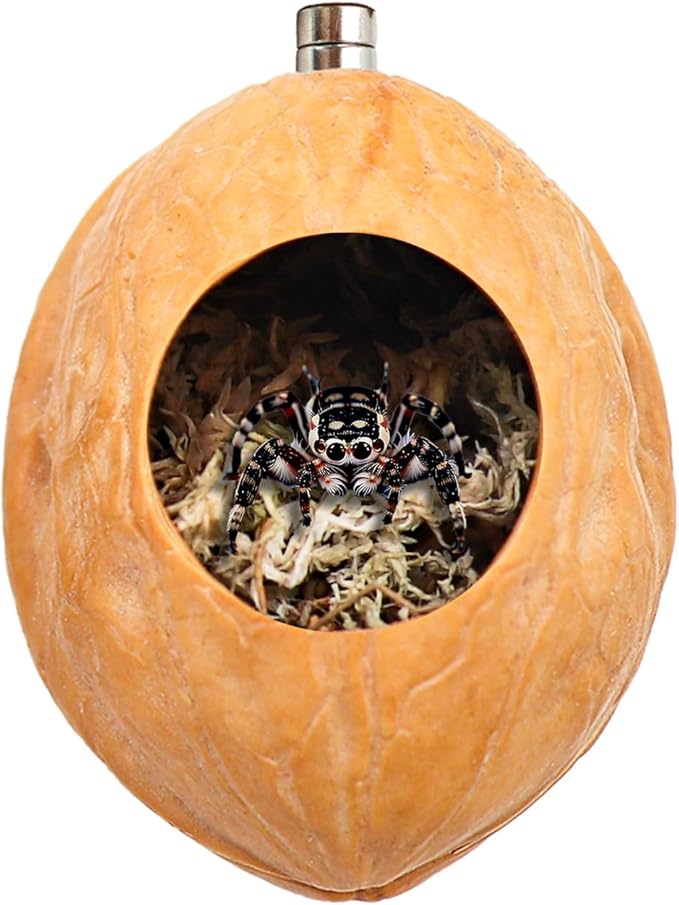 2 Pack Jumping Spider Enclosure Accessories with Walnut Shell Moss and Magnet, Natural Material Jumping Spider Hide-PurrikoPets
