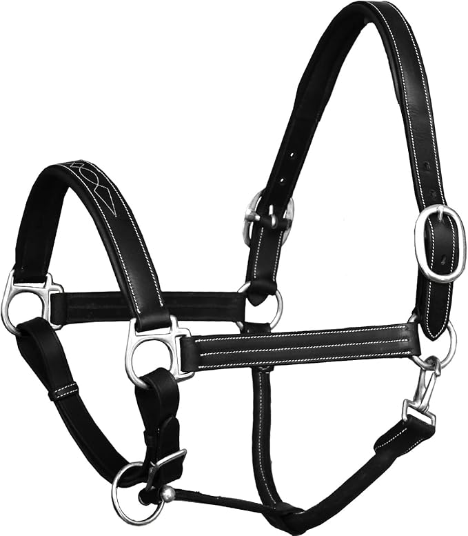 Exion Leather Horse Halter with Fancy Stitching | Black & Brown Padded Halter with Silver Brass Hardware | Quick-Release Snap | Adjustable Leather Halter – Cob, Full, Over, Pony Sizes-PurrikoPets