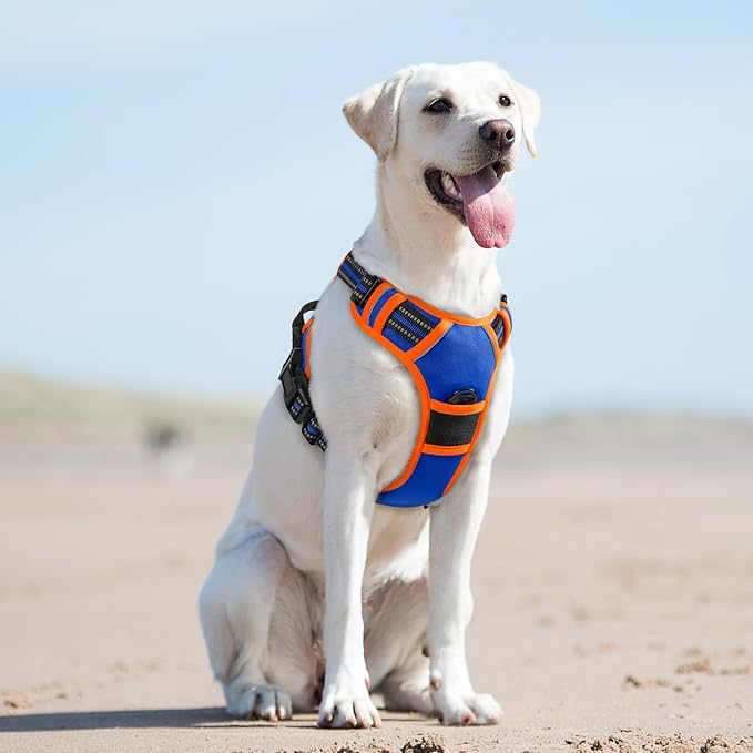 Eagloo Dog Harness for Large Dogs, No Pull Service Vest with Reflective Strips and Control Handle, Adjustable and Comfortable for Walking, No Choke Pet Harness with 2 Metal Rings, Blue & Orange, L-PurrikoPets