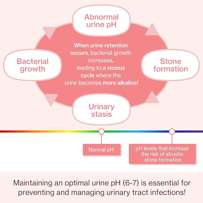 Dr.by UT Care Cat UTI Kidney Support Urinary Supplement Cranberry Treatment for Cats Renal Health with Pacran, Quercetin, Taurine lickable Formula Individually Packaged (1 Pack)-PurrikoPets