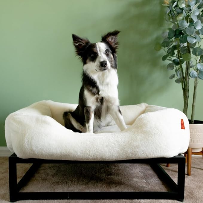 FUZI Luxury Aesthetic Dog Bed for Small Dogs with Washable Cover, Pet Couch, Pet Bed with Sides, Non-Slip Bottom, Soft and Durable Calming Dog Bed, Faux Rabbit Fur, Small 25.1x16.75x9.5 Soft White-PurrikoPets