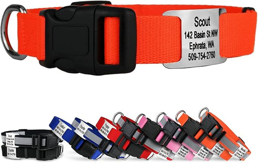 GoTags Personalized Dog Collar with Nameplate, Adjustable Dog Collar with Custom Engraved Slide On Pet ID Tag in Stainless Steel, Silent, No Noise Dog Tag for Large Medium and Small (Orange, Medium)-PurrikoPets