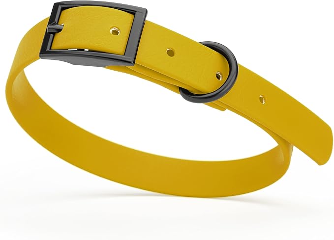 Dogline Biothane Waterproof Dog Collar Strong Coated Nylon Webbing with Black Hardware Odor- Proof for Easy Care Easy to Clean High Performance Fits Small Medium or Large Dogs, Treasure Gold-PurrikoPets