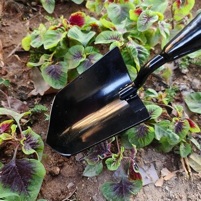 Gardening Tools – 3-in-1 Premium Garden Tool Set,Heavy Duty Pruning Shear, Trowel and Transplanter,Rust-Proof Hand Tool Set, Ideal Gardening Gifts for All (Black)-PurrikoPets