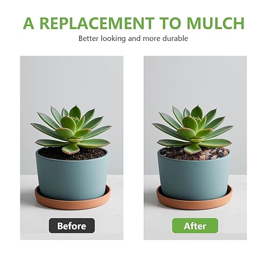 2.5lbs Small Rocks for Terrarium, Planters Drainage, 1/5 Inch Lava Rock for Bonsai Tree, Decorative Gravel for Succulents, Bamboo, Cactus, Mixed Color-PurrikoPets