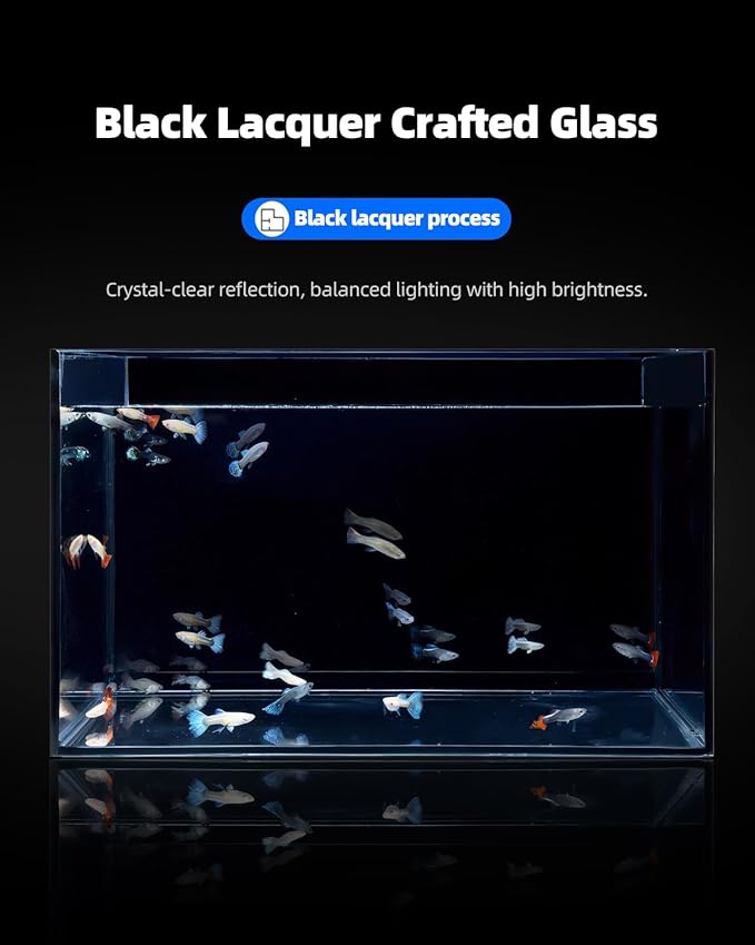 3 Gallon Clear Glass Fish Tank, Small Fish Tank Aquarium for Betta, Goldfish, Snail,Shrimp and Aquatic Planting-PurrikoPets