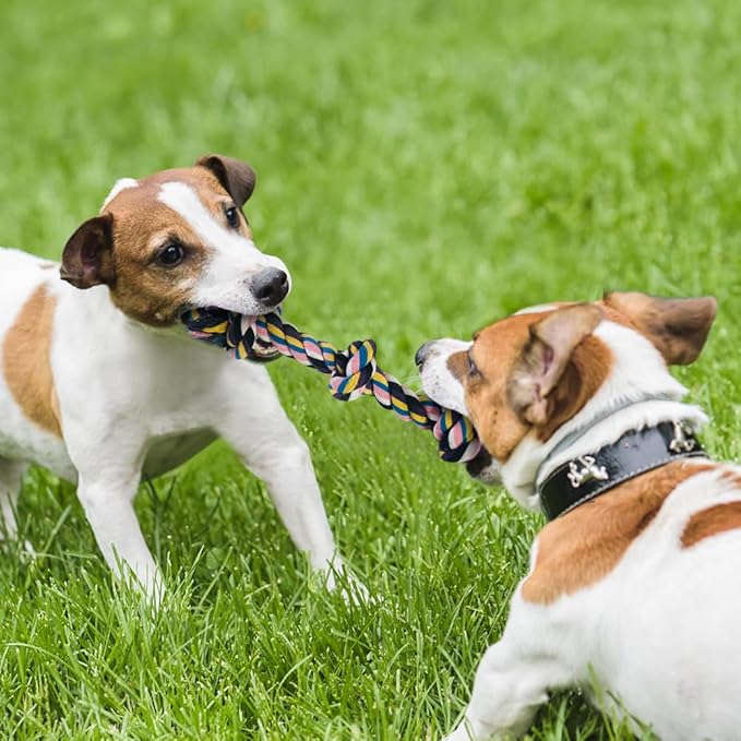 Dog Toys for Aggressive Chewers Large Medium Breed, Indestructible Dog Toothbrush Chew Toys, Squeaky Interactive Tough Extremely Durable, Dogs Toys to Keep Them Busy-PurrikoPets