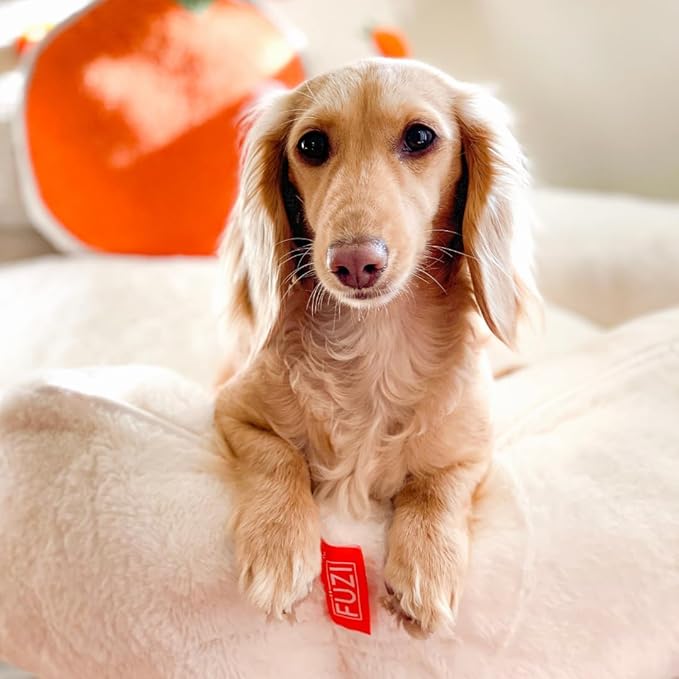 FUZI Luxury Aesthetic Dog Bed for Medium Dogs with Washable Cover, Pet Couch, Pet Bed with Sides, Non-Slip Bottom, Soft and Durable Calming Dog Bed, Faux Rabbit Fur, Medium 31.75x23.6x9.5 Soft White-PurrikoPets