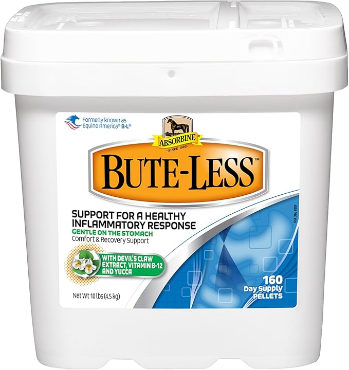 Absorbine Bute-Less Comfort & Recovery Support Supplement, Provides Long-Term Comfort, Gentle on Stomach, Includes Devil’s Claw, Vitamin B-12, Yucca, 10 lb / 160 Day Supply-PurrikoPets