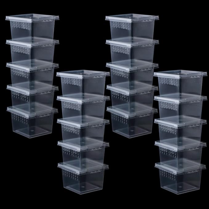 20 Pcs Spider Terrariums Breeding Box Hatching Container Acrylic Feeding Box for Small Reptile Scorpion Centipede Insect (Small Size)-PurrikoPets