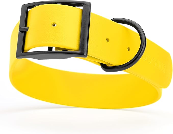 Dogline Biothane Waterproof Dog Collar Strong Coated Nylon Webbing with Black Hardware Odor- Proof for Easy Care Easy to Clean High Performance Fits Small Medium or Large Dogs, Lemon Yellow-PurrikoPets