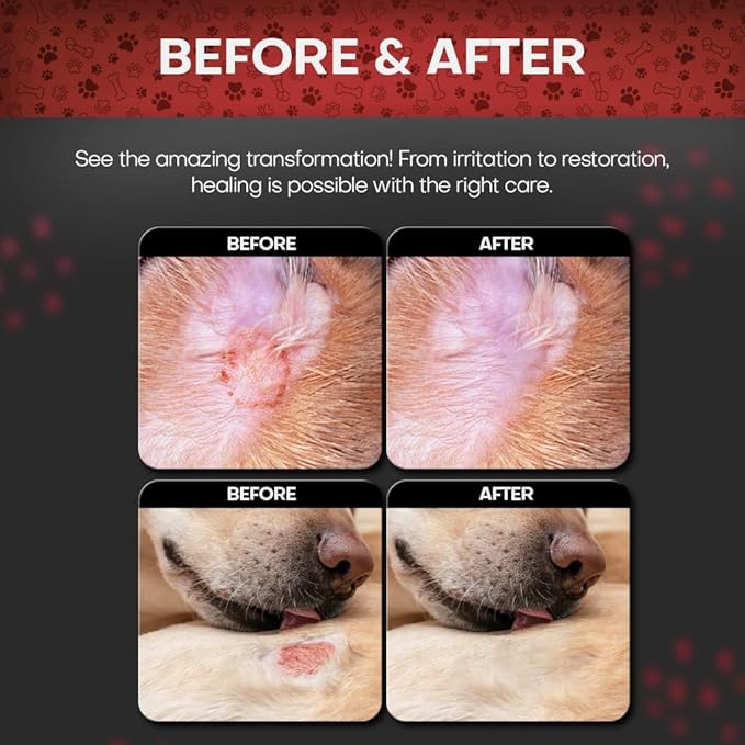 2% Chlorhexidine Wipes for Dogs 3X Larger | Yeast Infection Ringworm Fungus Hot Spot Itch Relief | Medicated Antibacterial Antifungal Extra Gentle Soothing Topical Wipes for Dog Cat | 50 Wipes-PurrikoPets