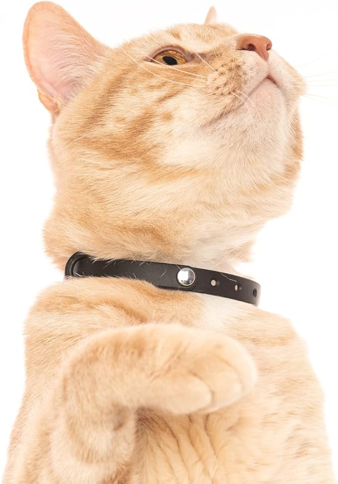 3 Pack Breakaway Cat Collar - Soft, Comfortable, and Lightweight Safety Buckle Collar with Name Tag Ring for Outdoor Cats and Sensitive Skin Kittens by Nuvuq (6 ⅞" to 10 ¼", Blue, Pink and Black)-PurrikoPets