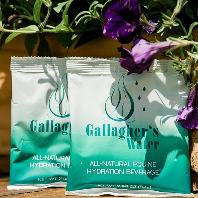 GALLAGHER'S WATER 2 Pack All-Natural Equine Hydration Treat - Enhancement Powder Mix Horse Drink Treat to Help Encourage to Drink Water - Made with All Natural Ingredients, FEI Compliant-PurrikoPets