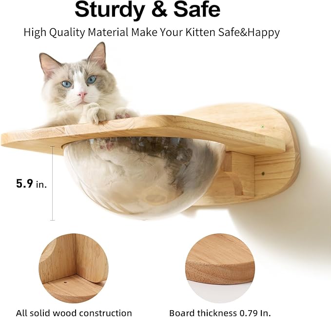FUKUMARU Cat Wall Furniture Set, Transparent Capsule Kitten Walls Shelves with 2 PCS Pedals - Premium Kitty Bed for Sleeping, Playing, Climbing, and Lounging - Easily Holds Up to 35 Lbs-PurrikoPets