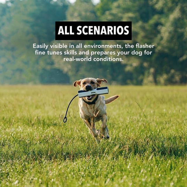 Dog Training Bumper - Retriever Training Dummy, Retrieving Dummies for Pets, Bumpers for Water Retrieving with Adjustable Rope, (Flasher)-PurrikoPets