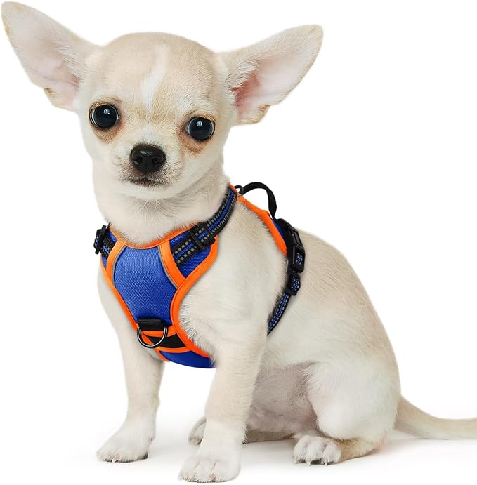 Eagloo Small Dog Harness No Pull, Service Vest with Reflective Strips and Control Handle, Adjustable and Comfortable for Walking, No Choke Pet Harness with 2 Metal Rings, Blue & Orange, XS-PurrikoPets