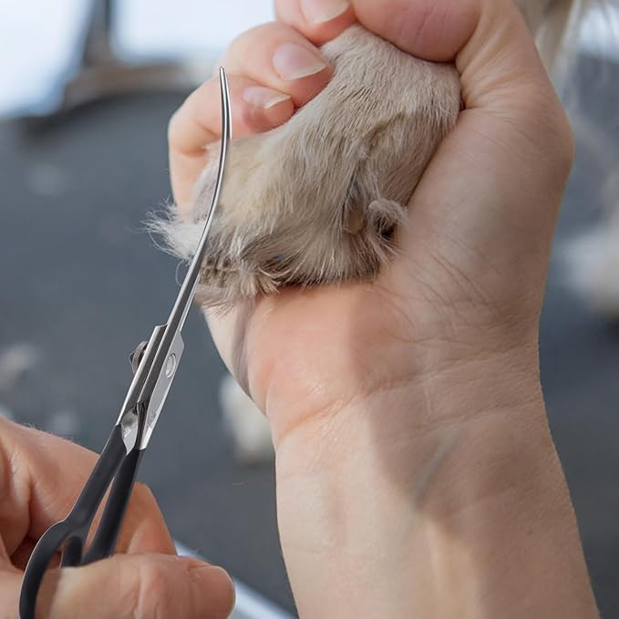 Dragon Creek 6" Upward Curved Dog Grooming Scissors Shears for Grooming Face and Paws Safety Shears Trimming Cutting Scissors for Dog Cat Pet Black-PurrikoPets