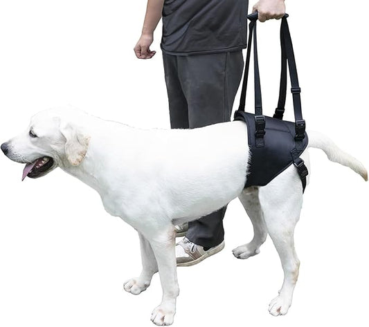 Dog Lift Harness for Dogs with Disabled Arthritis and Weak Back Legs, humanized Design with Comfortable Materials, Adjustable Back Legs and Straps, Suitable for Helping Dogs to Recover and Walk. (L)-PurrikoPets