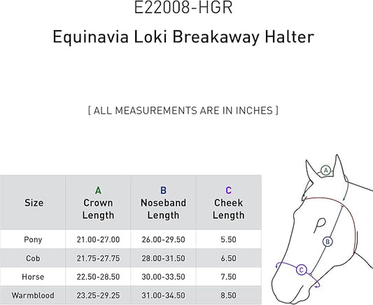 Equinavia Loki Adjustable Breakaway Horse Halter - Hunter Green - Pony-PurrikoPets