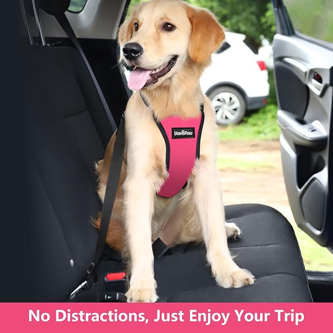 Dog Seat Belt, Safety Vest Dog Car Harness with Adjustable Buckle Dog Seat Belt for Vehicle Nylon Pet Safety Seat Belts Heavy Duty(XXL, Magenta)-PurrikoPets