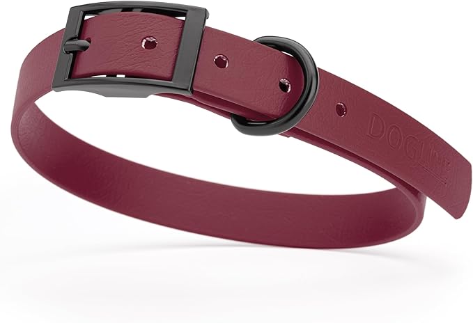 Dogline Biothane Waterproof Dog Collar Strong Coated Nylon Webbing with Black Hardware Odor- Proof for Easy Care Easy to Clean High Performance Fits Small Medium or Large Dogs, Merlot Burgundy-PurrikoPets