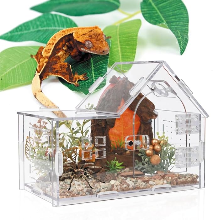 Acrylic Jumping Spider Enclosure - Versatile Reptile Enclosure with One-Click Magnetic Closure, Perfect for Tarantula, Gecko, Chameleon, Beetle, Mantis, and Hermit Crab-PurrikoPets