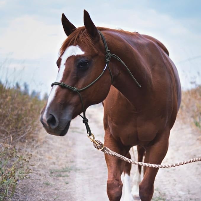 Double Braid Polyester Yacht Horse Lead Rope with Loop 12ft. or 14ft. Lengths (Beige, 14 ft. No Snap)-PurrikoPets