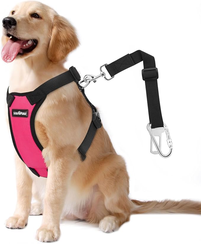 Dog Seat Belt, Safety Vest Dog Car Harness with Adjustable Buckle Dog Seat Belt for Vehicle Nylon Pet Safety Seat Belts Heavy Duty(XXL, Magenta)-PurrikoPets