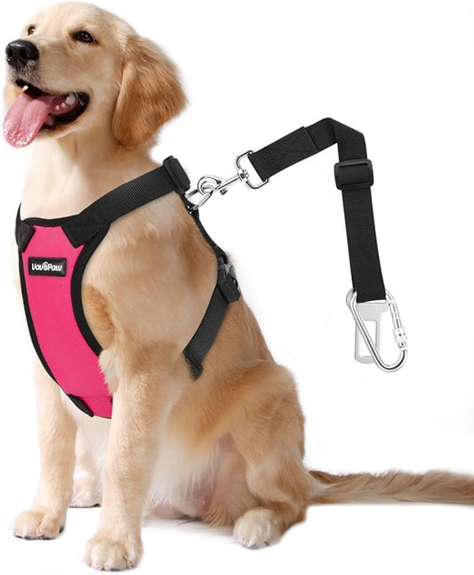 Dog Seat Belt, Safety Vest Dog Car Harness with Adjustable Buckle Dog Seat Belt for Vehicle Nylon Pet Safety Seat Belts Heavy Duty(XXL, Magenta)-PurrikoPets