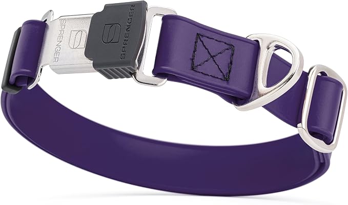 Dogline Biothane Waterproof Dog Collar with Herm Sprenger Stainless Steel Quick Release Buckle – Heavy Duty Tactical Durable Collar for Dogs – Comfortable and Safe Pet Collar, W 1" L 15-25", Purple-PurrikoPets