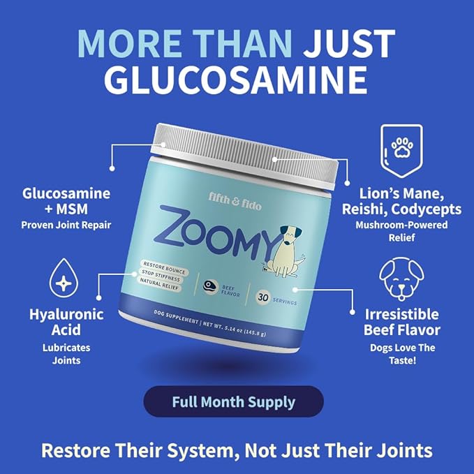 Dog Joint Supplement Powder with Glucosamine, Chondroitin & MSM – Hip & Joint Support for Mobility, Stiffness & Flexibility – Mushroom Blend with Lion’s Mane, Cordyceps & Reishi – Zoomy-PurrikoPets