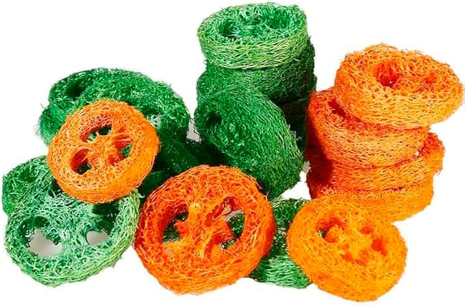 15 Pcs Fruit Flavored Loofah Slices Rabbit Chew Toys Guinea Pig Chew Toys Small Pet Chews Bunny Toys for Teeth Rabbit Toys-PurrikoPets