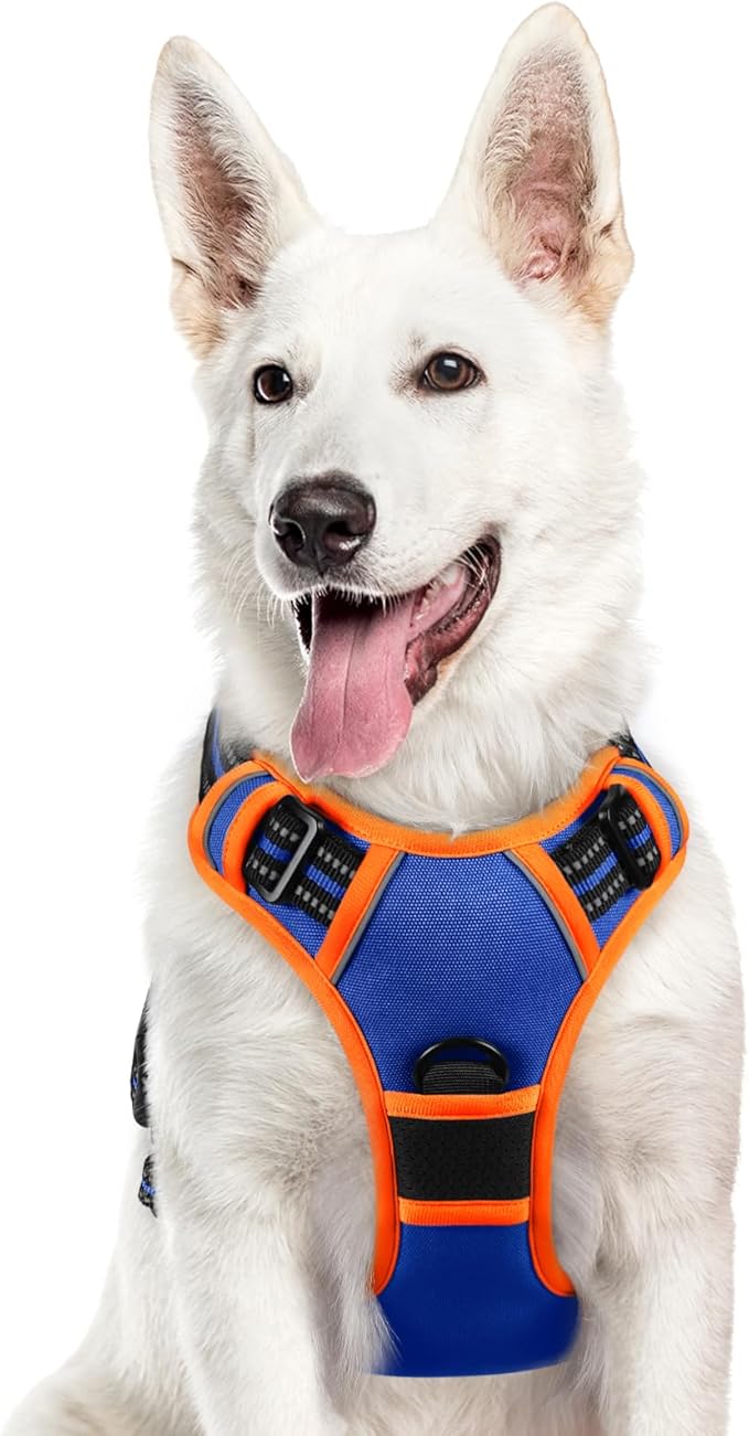 Eagloo Dog Harness for Large Dogs, No Pull Service Vest with Reflective Strips and Control Handle, Adjustable and Comfortable for Walking, No Choke Pet Harness with 2 Metal Rings, Blue & Orange, XL-PurrikoPets