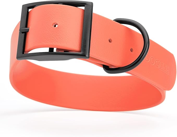 Dogline Biothane Waterproof Dog Collar Strong Coated Nylon Webbing with Black Hardware Odor- Proof for Easy Care Easy to Clean High Performance Fits Small Medium or Large Dogs, Coral-PurrikoPets