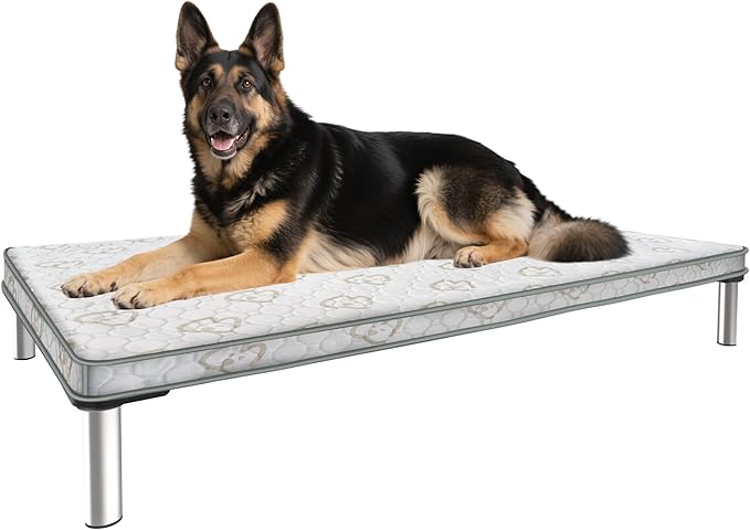 FXW TitanNest Chew-Proof Elevated Dog Bed, Raised Cot for Indoor/Outdoor/Camping Use, Durable & Washable Padded Pet Bed with Exclusive Reuseable Cover for Large Dogs, 50.0" L x 31.0" W x 7.3" H, Gray-PurrikoPets
