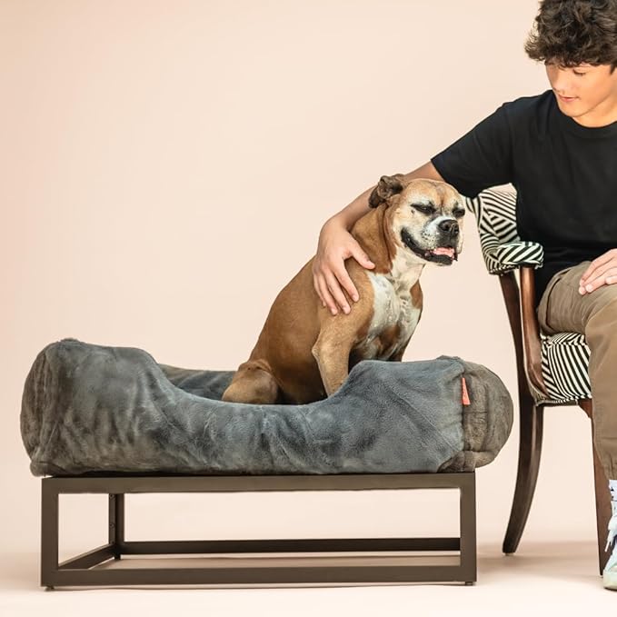 FUZI Luxury Aesthetic Dog Bed for Large Dogs with Washable Cover, Pet Couch, Pet Bed with Sides, Non-Slip Bottom, Soft and Durable Calming Dog Bed, Large 35.6x28.5x9.5 Dark Grey-PurrikoPets