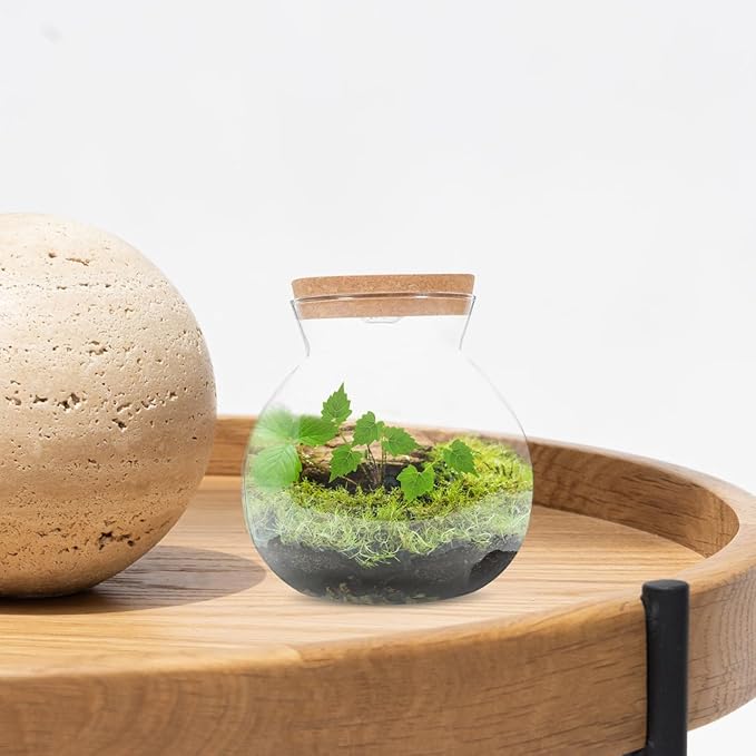 Fish Bowl with LED Light - Small Betta Fish Tank with LED Lighting and Lid Glass Fish Bowl Small Aquarium for DIY Landscape-PurrikoPets