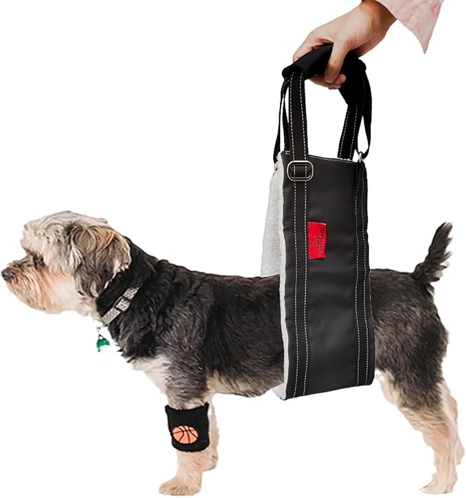 Dog Lift Harness - Adjustable Sling for Rear Legs with Soft Support for Senior, Injured, Disabled Dogs After ACL Surgery - Helping Pets with Canine Aid and Rehab Support (M)-PurrikoPets