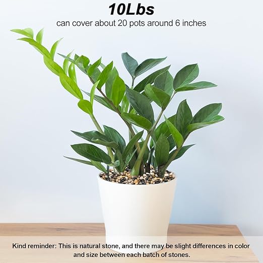 Fish Tank Rocks,Virekm River Rocks, Decorative Ornamental Pebbles Garden Landscaping Stones Gravel Filler for Home Decoration Flower Bed Fish Tank Plants Vases Succulents (10 Pounds)-PurrikoPets