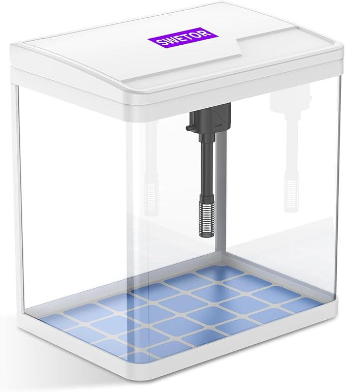 2 Gallon Glass Betta Fish Tank，Small Fish Tank with Filter and Light,Self-Cleaning Fish Tank.-PurrikoPets