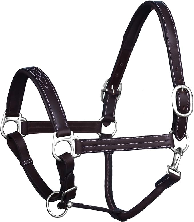 Exion Leather Horse Halter with Fancy Stitching | Black & Brown Padded Halter with Silver Brass Hardware | Quick-Release Snap | Adjustable Leather Halter – Cob, Full, Over, Pony Sizes-PurrikoPets