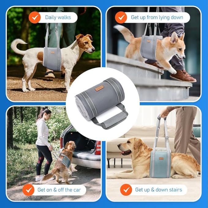 Dog Lift Harness for Small Dogs, Adjustable Dog Sling for Back Legs, Hip Support Harness to Help Lift Dogs Rear for Canine Aid and Old K9 Cruciate Ligament Rehabilitation - Small, Grey-PurrikoPets