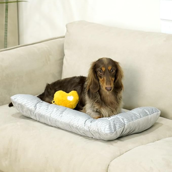 FUNNY FUZZY 2 in 1 Dog Bed Crate Pad Mat, Washable Reversible Floor Pet Mats,Fluffy Kennel Pad for Small Large Sized Dog,Indoor Cats,Sleeping Mattress, 23.6" × 17.9", Light Grey-PurrikoPets