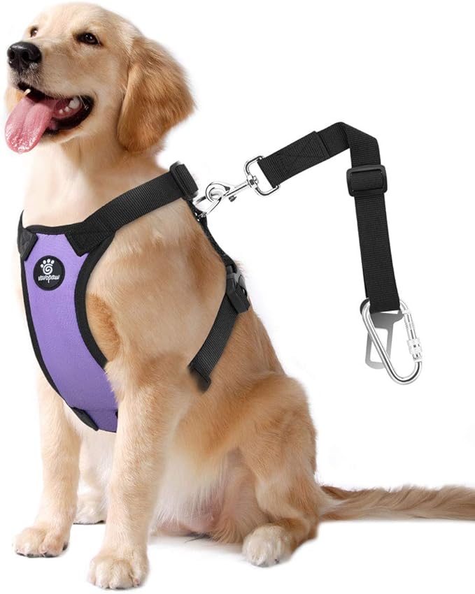 Dog Seat Belt, Safety Vest Dog Car Harness with Adjustable Buckle Dog Seat Belt for Vehicle Nylon Pet Safety Seat Belts Heavy Duty(XL, Purple)-PurrikoPets