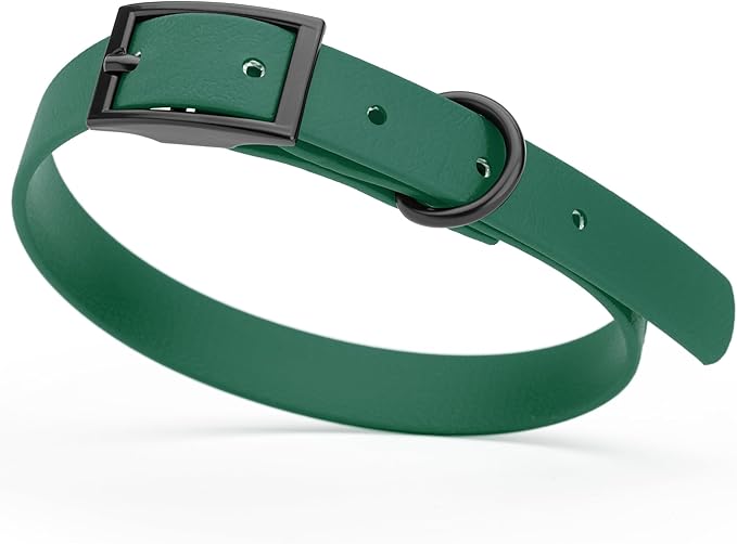 Dogline Biothane Waterproof Dog Collar Strong Coated Nylon Webbing with Black Hardware Odor- Proof for Easy Care Easy to Clean High Performance Fits Small Medium or Large Dogs, Hunter Green-PurrikoPets
